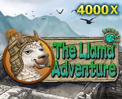 JDB : Llama Adventure - MG138