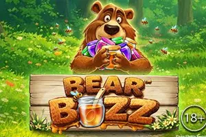 Bear Buzz - MG138
